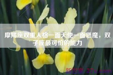 摩羯座双重人格一面天使一面恶魔，双子座最可怕的能力