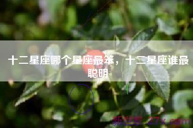 十二星座哪个星座最笨，十二星座谁最聪明