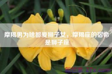 摩羯男为啥都爱狮子女，摩羯座的宿命是狮子座