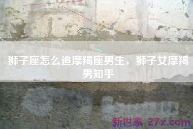 狮子座怎么追摩羯座男生，狮子女摩羯男知乎