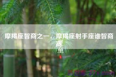 摩羯座智商之一，摩羯座射手座谁智商高