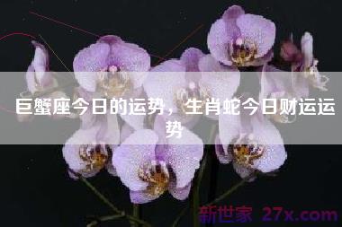 巨蟹座今日的运势，生肖蛇今日财运运势
