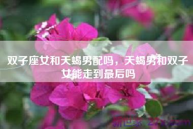 双子座女和天蝎男配吗，天蝎男和双子女能走到最后吗