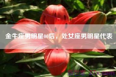 金牛座男明星00后，处女座男明星代表