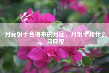月亮射手合得来的月座，月射手和什么月座配