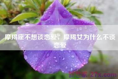 摩羯座不想谈恋爱，摩羯女为什么不谈恋爱
