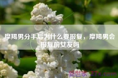 摩羯男分手后为什么要报复，摩羯男会报复前女友吗