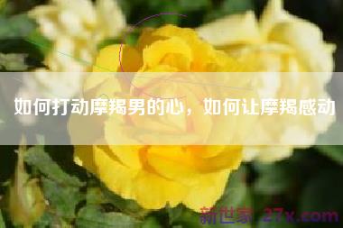 如何打动摩羯男的心，如何让摩羯感动