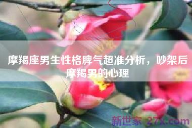摩羯座男生性格脾气超准分析，吵架后摩羯男的心理