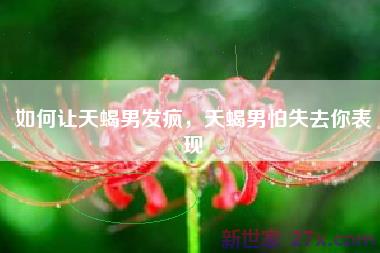 如何让天蝎男发疯，天蝎男怕失去你表现