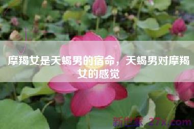 摩羯女是天蝎男的宿命，天蝎男对摩羯女的感觉