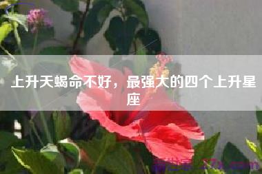 上升天蝎命不好，最强大的四个上升星座