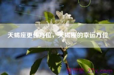 天蝎座更佳方位，天蝎座的幸运方位