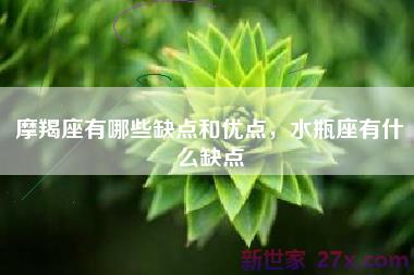 摩羯座有哪些缺点和优点，水瓶座有什么缺点