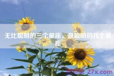 无比聪明的三个星座，最聪明的几个星座