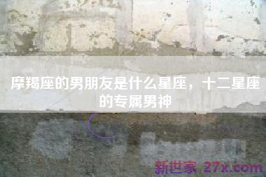摩羯座的男朋友是什么星座，十二星座的专属男神