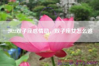 2022双子座感情劫，双子座女怎么追