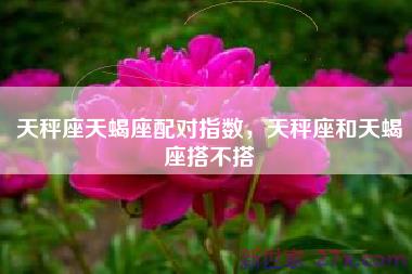 天秤座天蝎座配对指数，天秤座和天蝎座搭不搭
