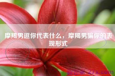 摩羯男逗你代表什么，摩羯男骗你的表现形式