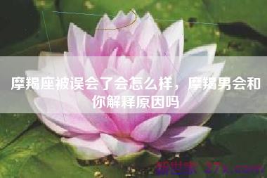 摩羯座被误会了会怎么样，摩羯男会和你解释原因吗