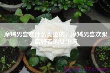 摩羯男喜欢什么类型的，摩羯男喜欢眼睛好看的女生吗