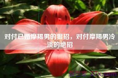 对付已婚摩羯男的狠招，对付摩羯男冷淡的绝招