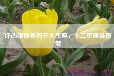 坏心眼最多的三大星座，十二星座谁最傻