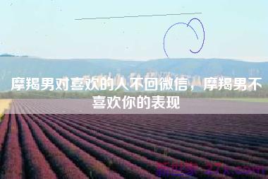 摩羯男对喜欢的人不回微信，摩羯男不喜欢你的表现