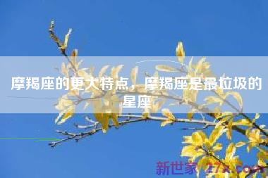 摩羯座的更大特点，摩羯座是最垃圾的星座