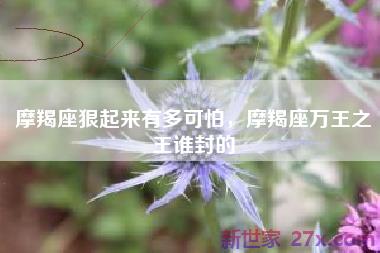 摩羯座狠起来有多可怕，摩羯座万王之王谁封的