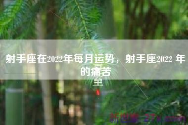 射手座在2022年每月运势，射手座2022 年的痛苦