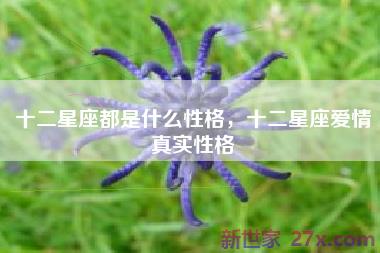 十二星座都是什么性格，十二星座爱情真实性格