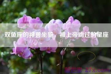 双鱼座的神兽坐骑，被上帝吻过的星座