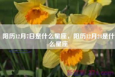 阳历12月7日是什么星座，阳历12月24是什么星座
