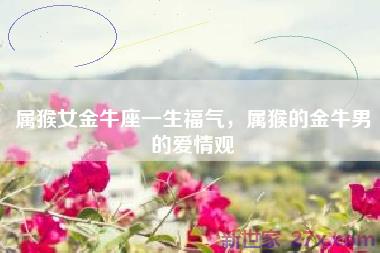 属猴女金牛座一生福气，属猴的金牛男的爱情观