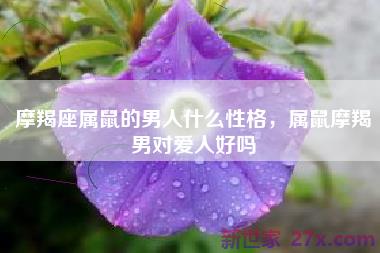 摩羯座属鼠的男人什么性格，属鼠摩羯男对爱人好吗