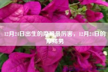 12月24日出生的摩羯最厉害，12月24日的摩羯男