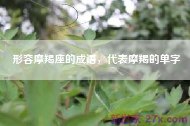 形容摩羯座的成语，代表摩羯的单字