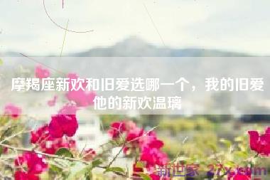 摩羯座新欢和旧爱选哪一个，我的旧爱他的新欢温璃