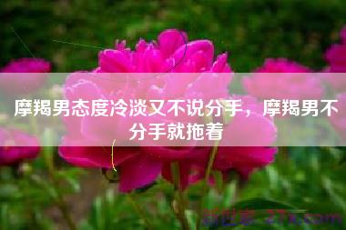 摩羯男态度冷淡又不说分手，摩羯男不分手就拖着