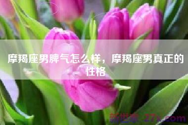 摩羯座男脾气怎么样，摩羯座男真正的性格