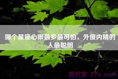 哪个星座心眼最多最可怕，外傻内精的人最聪明