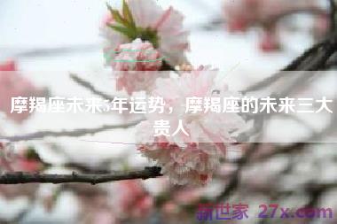 摩羯座未来5年运势，摩羯座的未来三大贵人