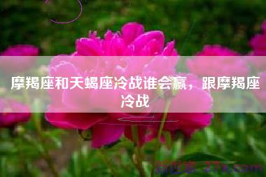 摩羯座和天蝎座冷战谁会赢，跟摩羯座冷战