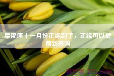 摩羯座十一月份正缘到了，正缘可以提前到来吗