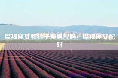 摩羯座女和狮子座男配吗，摩羯座女配对