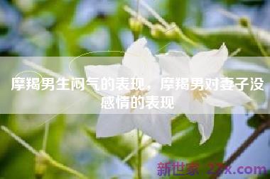 摩羯男生闷气的表现，摩羯男对妻子没感情的表现