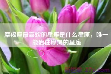 摩羯座最喜欢的星座是什么星座，唯一能治住摩羯的星座