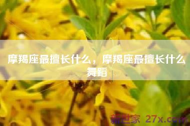 摩羯座最擅长什么，摩羯座最擅长什么舞蹈