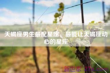 天蝎座男生最配星座，最能让天蝎座动心的星座